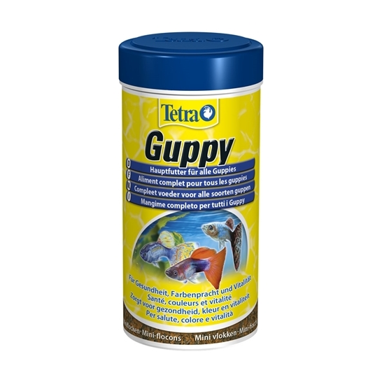 Tetra guppy visvoer vlokken