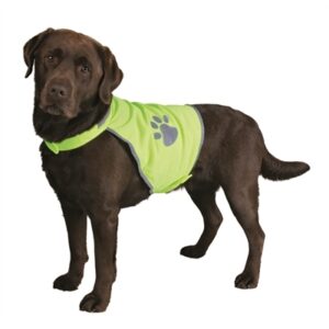 Reflecterend Veiligheidsvest