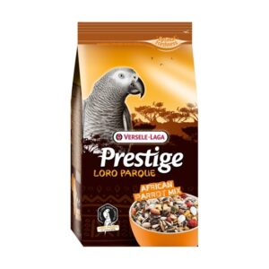 Prestige premium afrikaanse papegaai