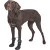 Pootbescherming Walker Active Long