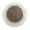 Dierendrogist Groenlipmossel Extract Veterinair 200 gram