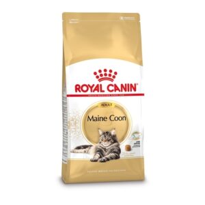 Royal Canin Maine Coon Adult van 4 kg
