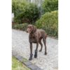 Pootbescherming Walker Active Long