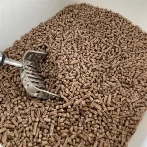 Kattenbakvulling categorie banner