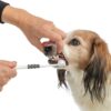 Trixie 3-Koppige Tandenborstel Hond & Kat Grijs