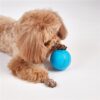 Fofos Rol Bal Hond Oplaadbaar