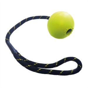 Happy Pet Tough Toys Floater Rubber Bal Touw